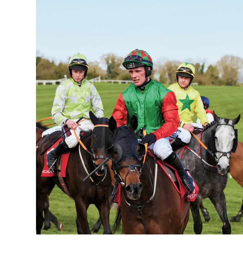 Stonehaven by Ballymore - Naas Racecourse Stonehaven by Ballymore - Naas Racecourse