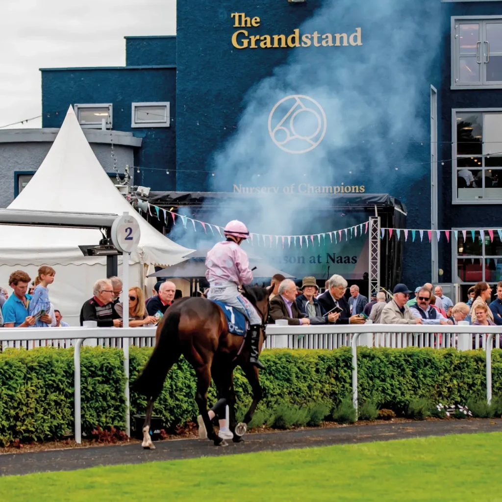 Stonehaven - The Grandstand at Naas Racecourse Stonehaven - The Grandstand at Naas Racecourse
