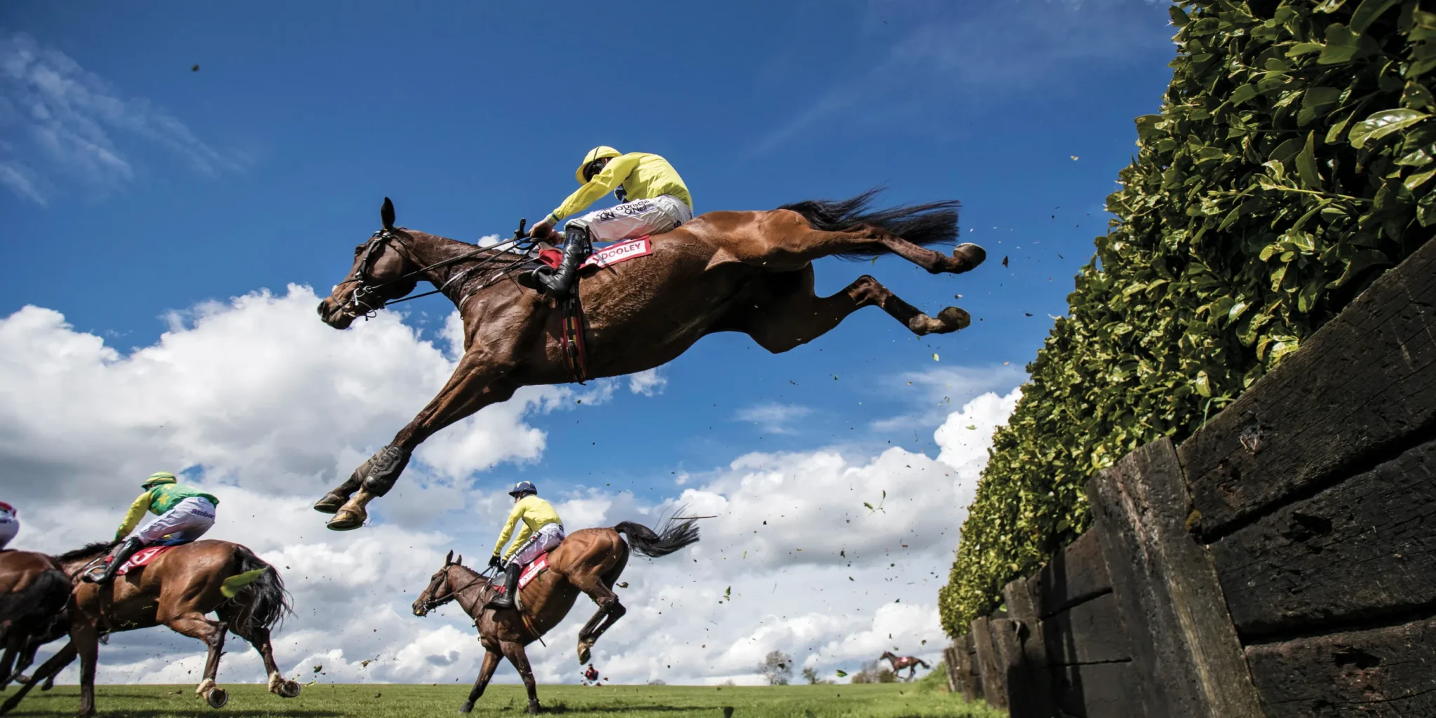 Stonehaven by Ballymore - Punchestown Racecourse Stonehaven by Ballymore - Punchestown Racecourse