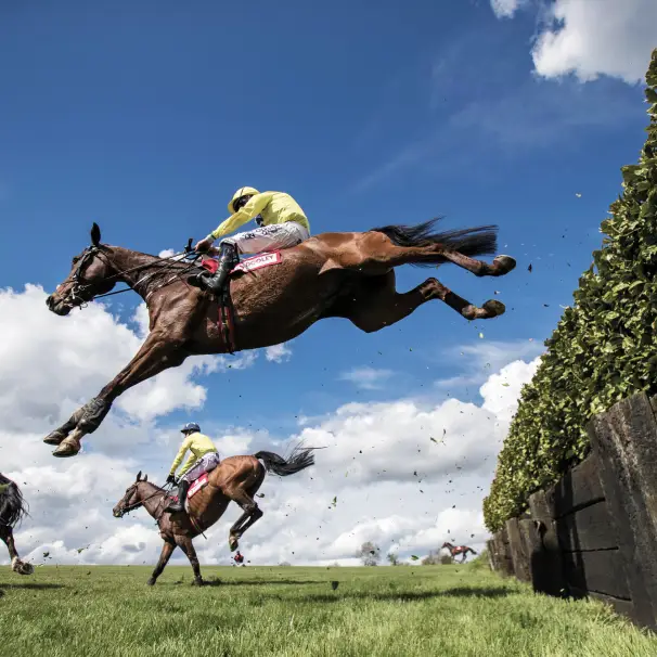Stonehaven, Naas - Punchestown Racecourse Stonehaven, Naas - Punchestown Racecourse