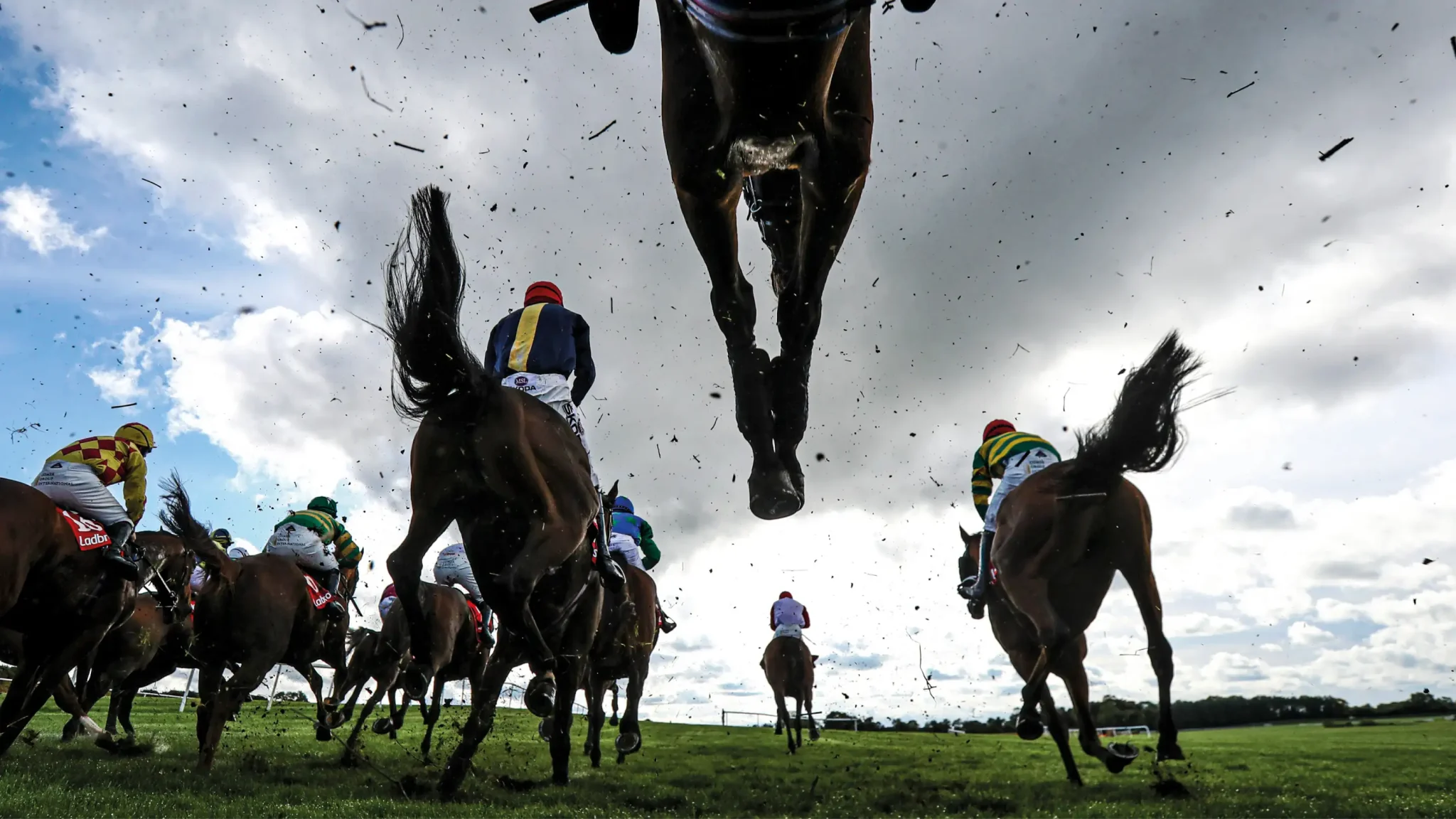 Stonehaven, Naas - Horse Racing Stonehaven, Naas - Horse Racing